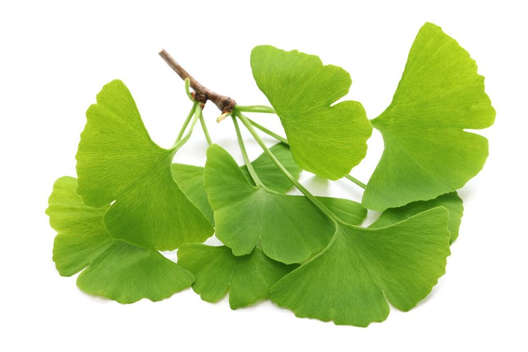 ginko biloba v kapljicah Alcozar